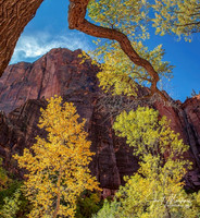 Zion National Park