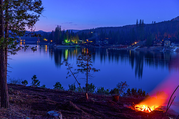 Downed Trees Burning