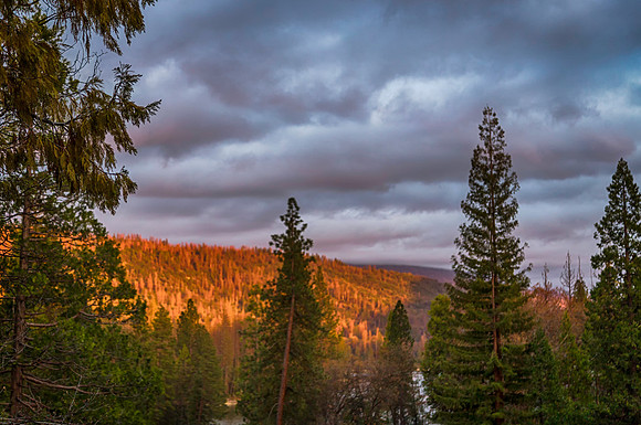 View From the Deck
