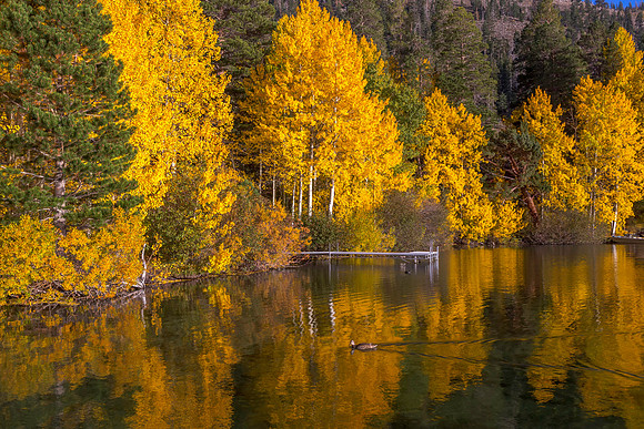 Fall at Gull Lake