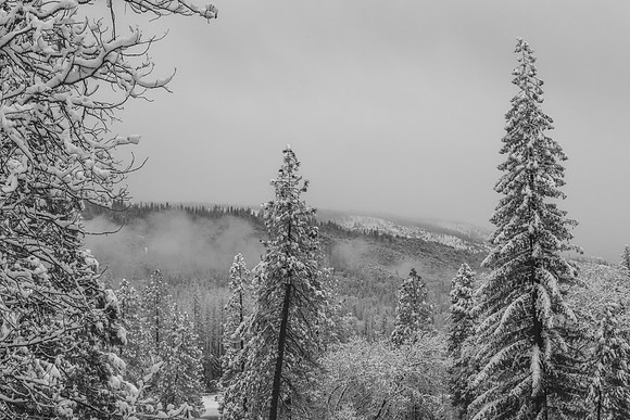Bass Lake Winter in March
