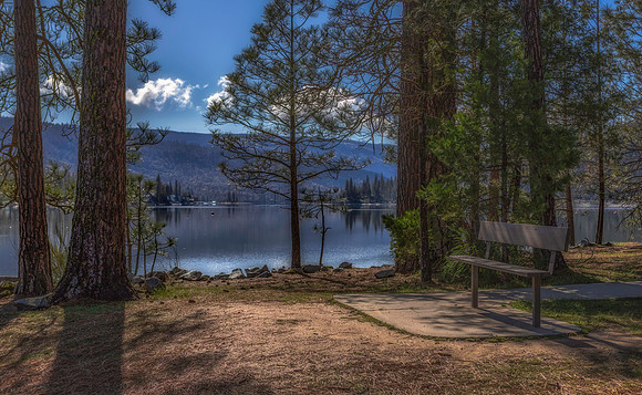 Bench With A View