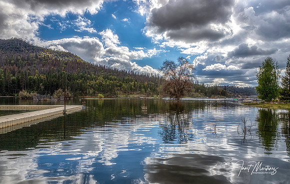 Down By the Lake