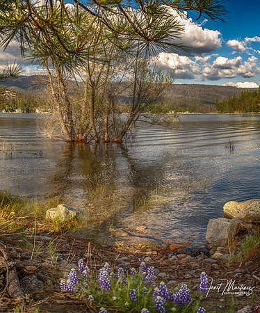 Lakeside