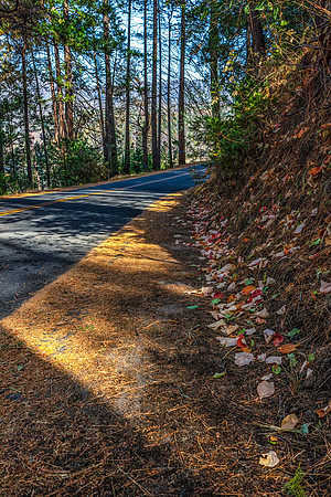 Around the Curve From Fall