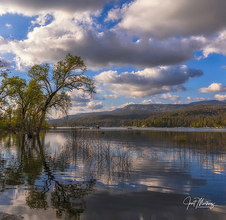 Clouds Illusions
