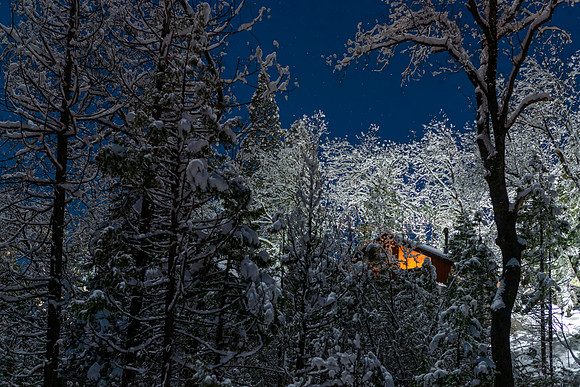 By the Light of the Moon