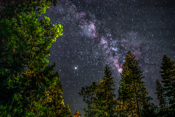 I Heard The Stars