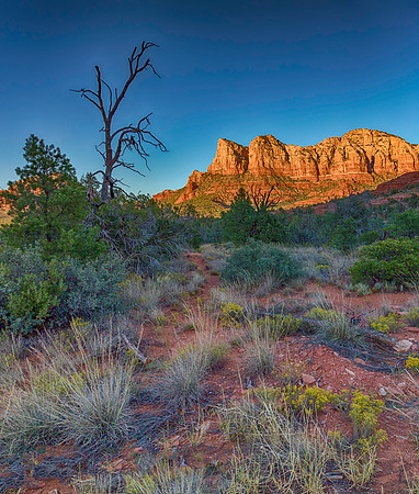 Red Rock Beauty